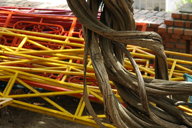 Twisted Wood